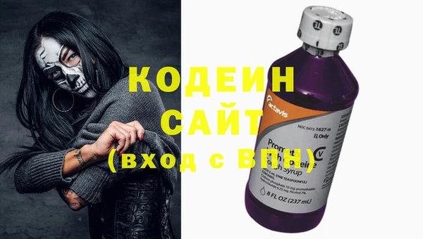 прущие грибы Арсеньев