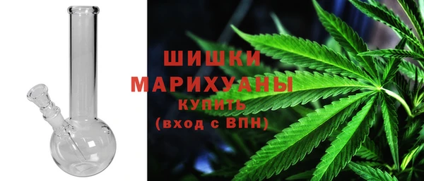 прущие грибы Арсеньев
