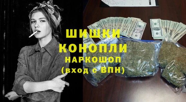 прущие грибы Арсеньев