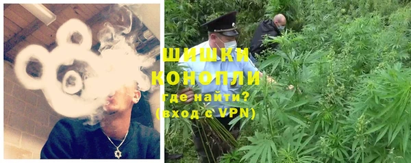 прущие грибы Арсеньев