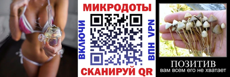 мега онион  где продают   Гаврилов-Ям  Галлюциногенные грибы ЛСД 